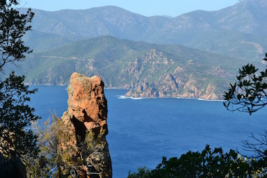 Remplacementdu 30/04/2023 au 28/01/2024 pour un(e) radiologue - Ajaccio (2A)