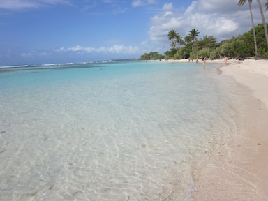 Remplacementdu 11/04/2024 au 11/04/2025 pour un(e) psychiatre - Nouméa (988)